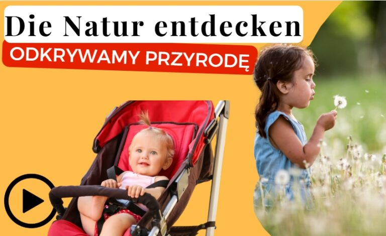 WIDEOKURS: die Natur (Wald, Park, Wiese)